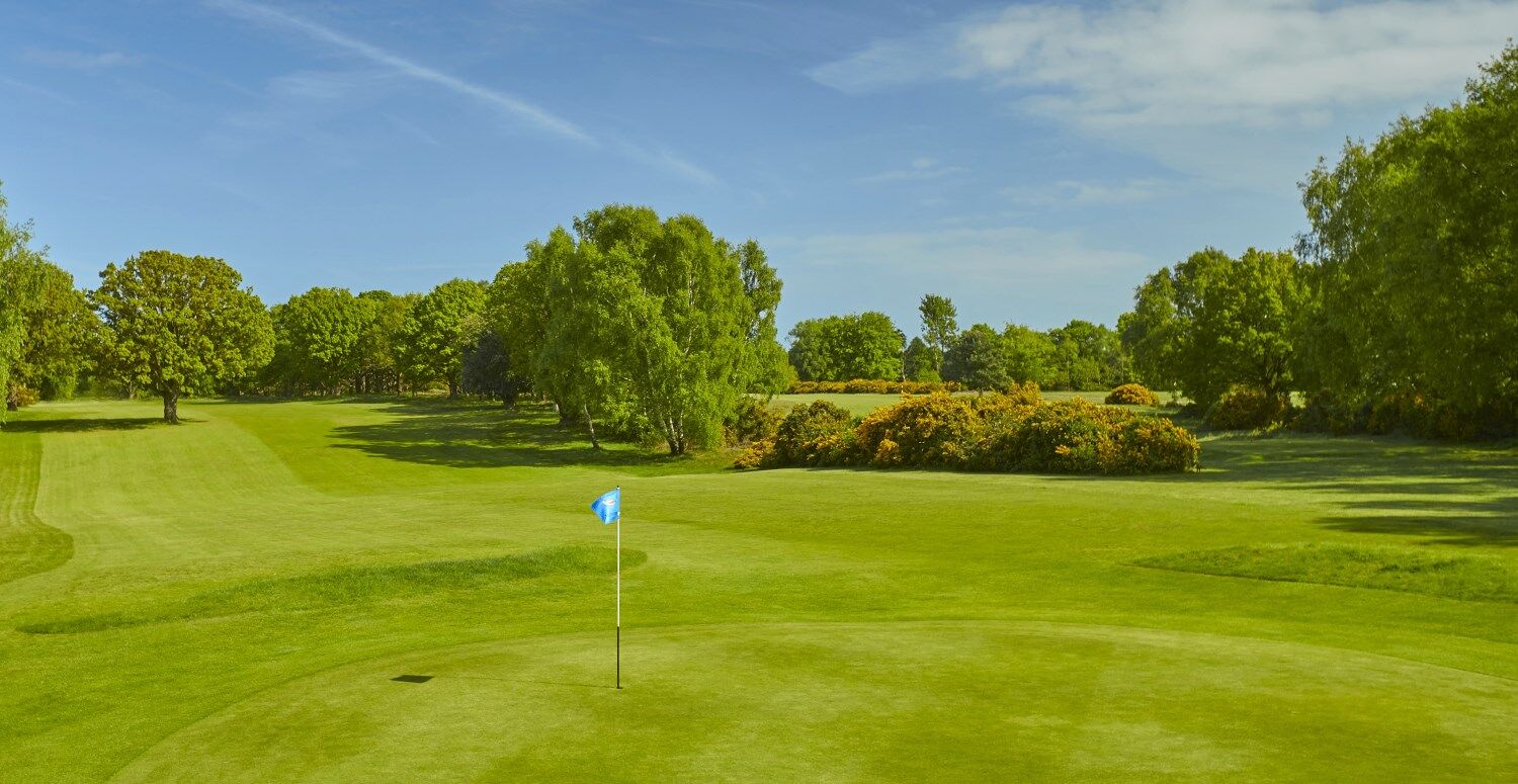 Home Woodbridge Golf Club Suffolk